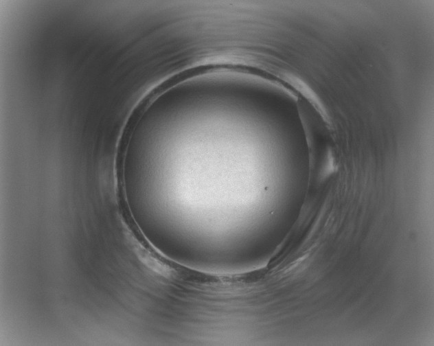 X0000069810980200605221200