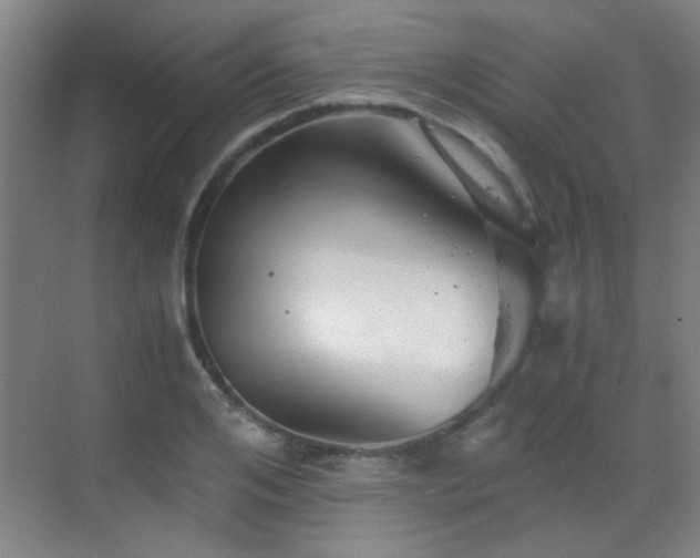 X0000069810984200605221159