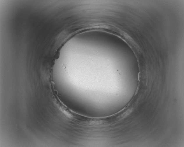 X0000069810985200605221159