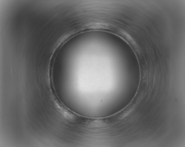 X0000069810986200605221159