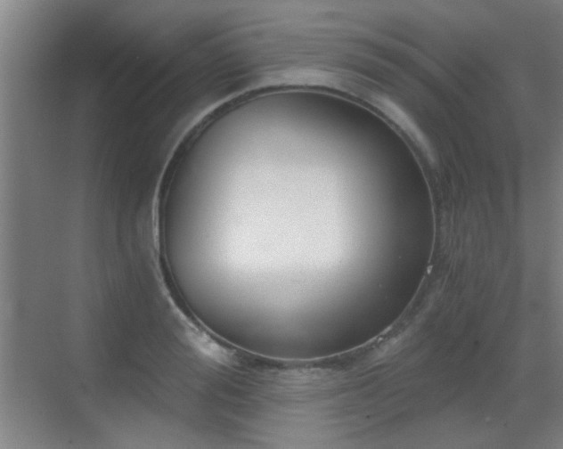 X0000069810988200605221159