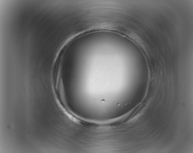 X0000069810989200605221159