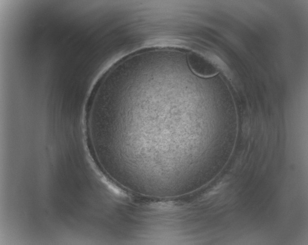 X0000069810990200605221159