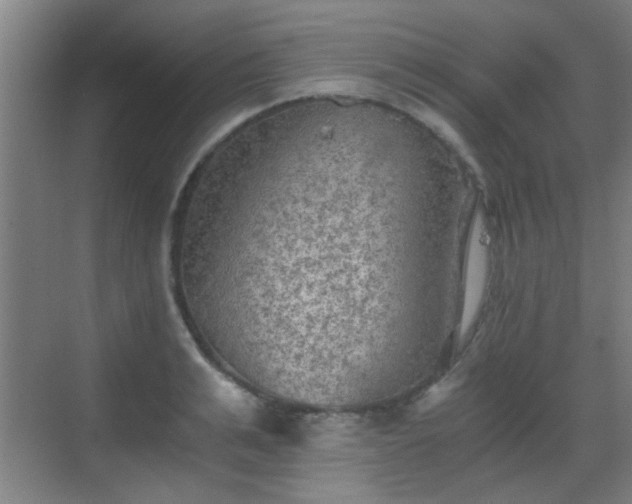 X0000069810991200605221159