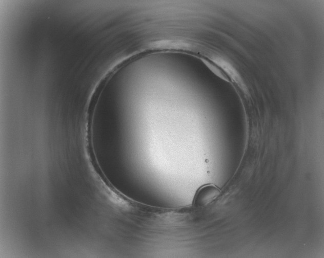 X0000069810992200605221159