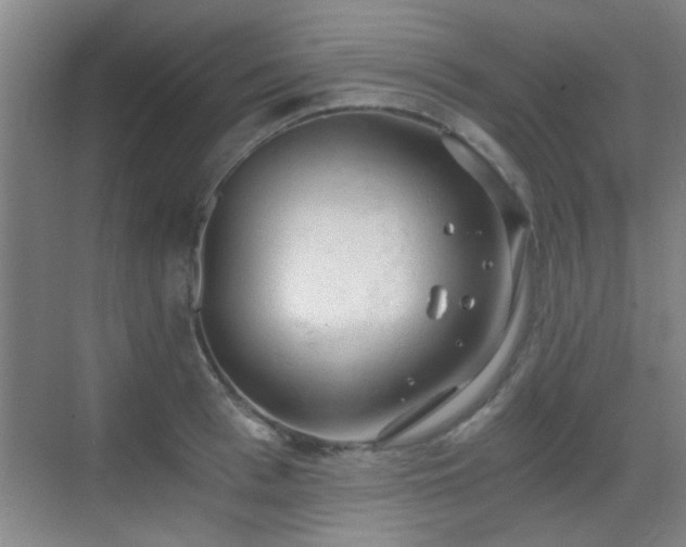 X0000069810993200605221159