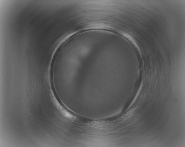 X0000069810995200605221159