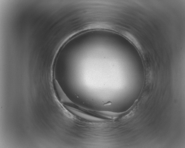 X0000069810996200605221159