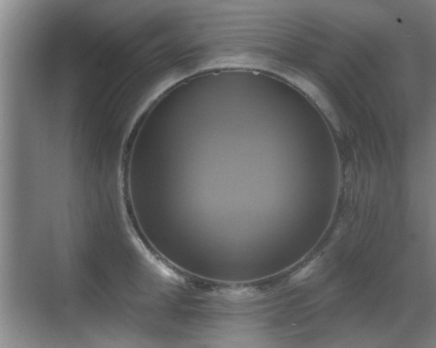 X0000069810998200605221159