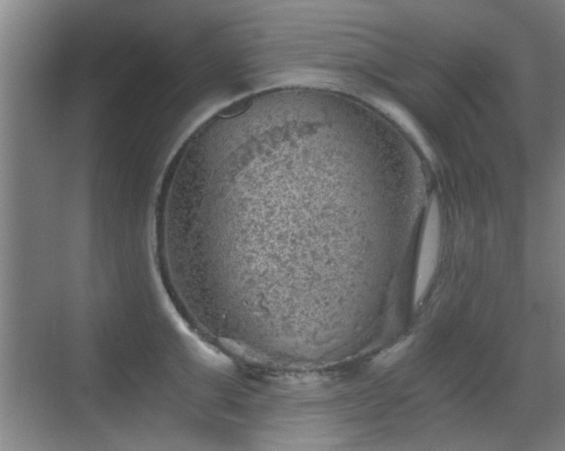 X0000069810999200605221159