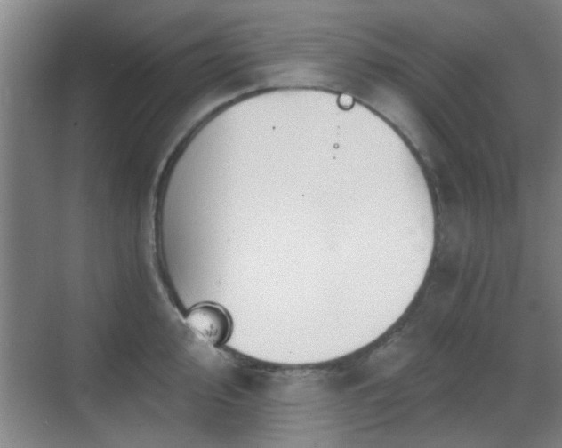 X0000069811000200605221159