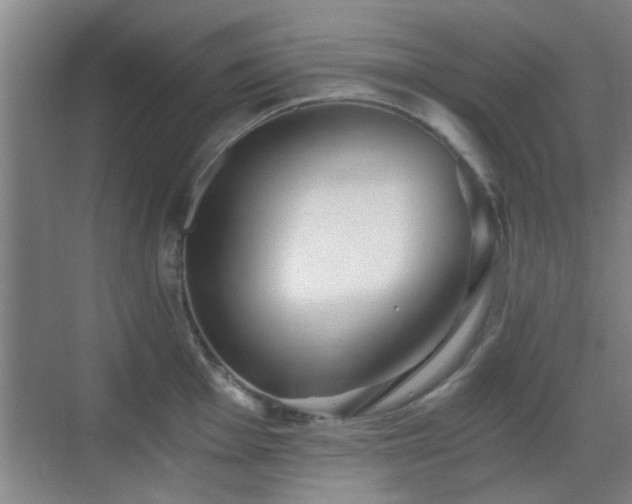 X0000069811001200605221159