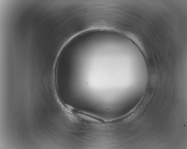 X0000069811004200605221159