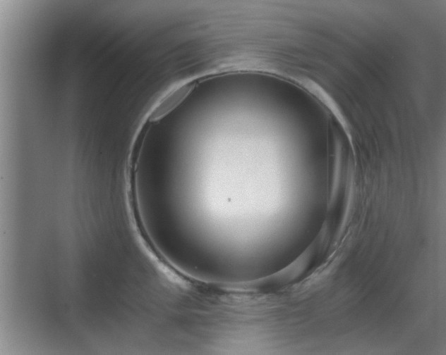 X0000069811005200605221159