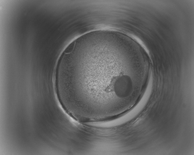 X0000069811007200605221159