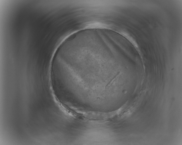 X0000069811008200605221159