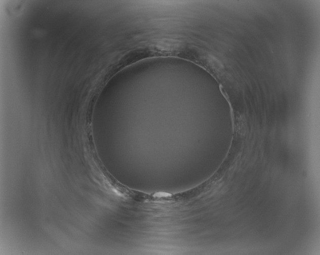 X0000069811009200605221158