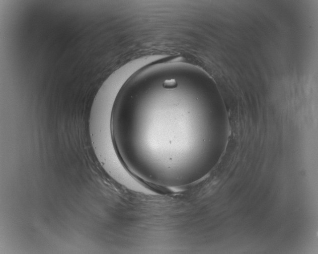 X0000069811010200605221158