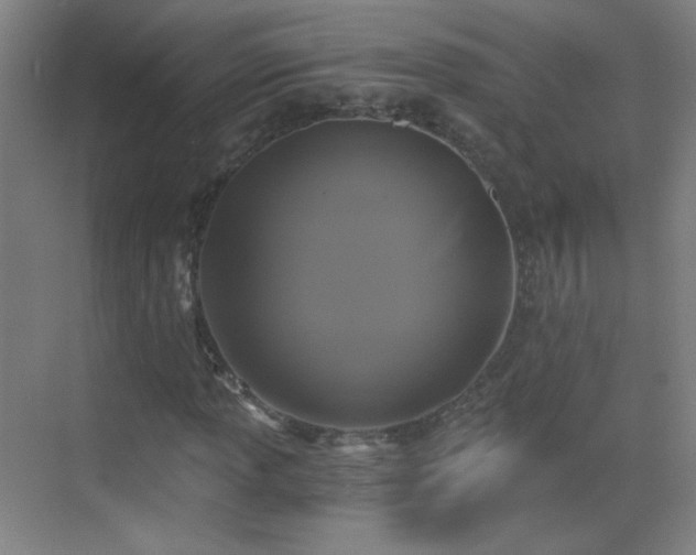 X0000069811013200605221158