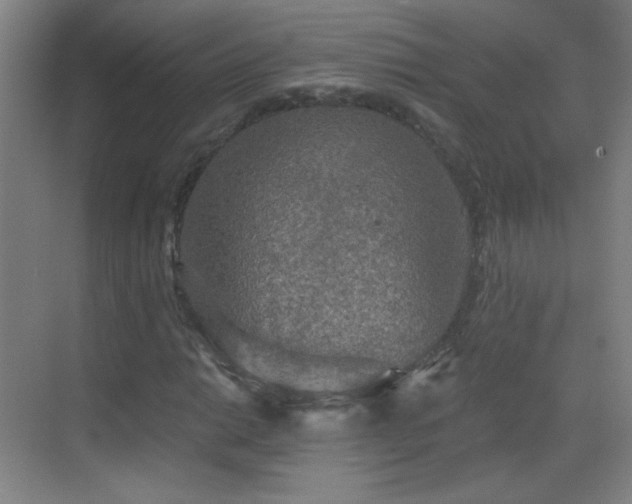 X0000069811014200605221158