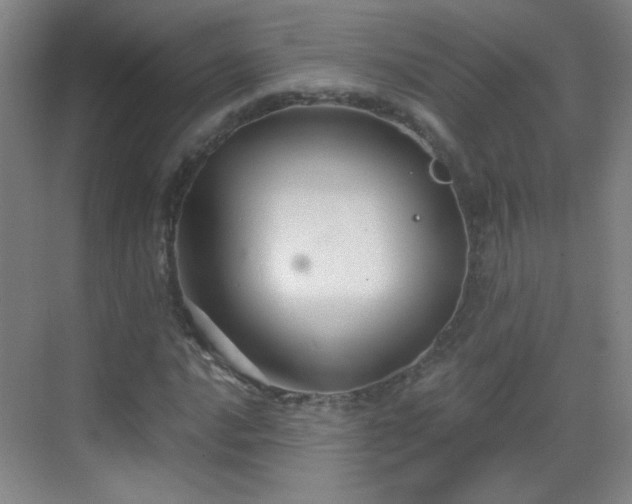 X0000069811016200605221158