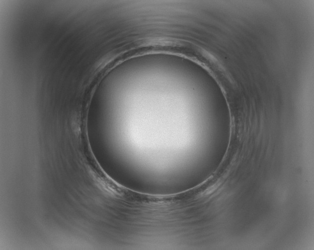 X0000069811017200605221158