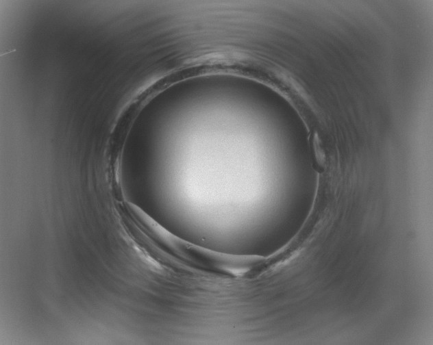 X0000069811018200605221158