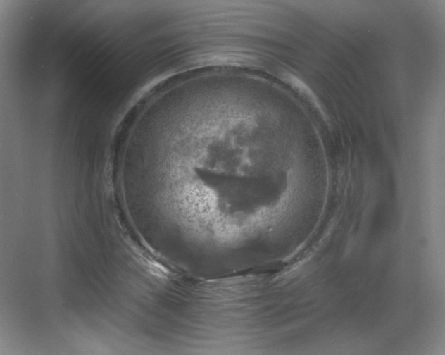 X0000069811019200605221158