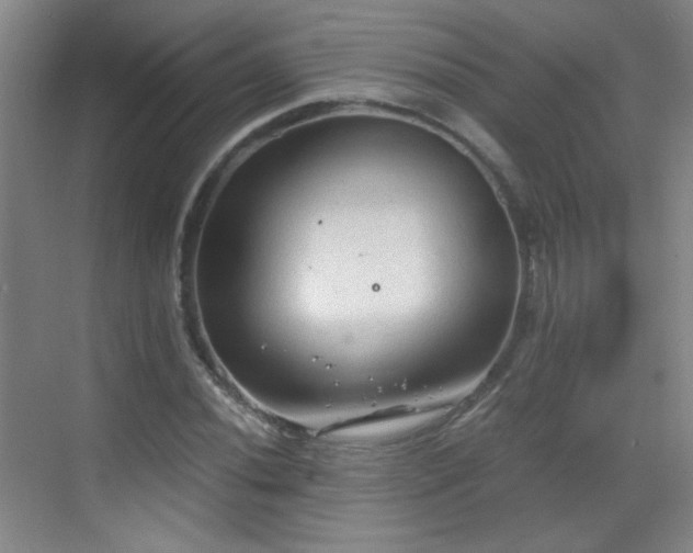 X0000069811020200605221158