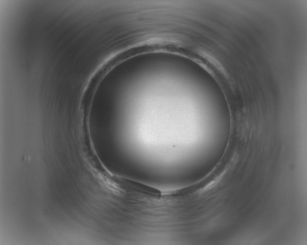 X0000069811021200605221158