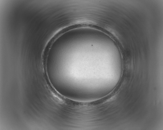 X0000069811022200605221158