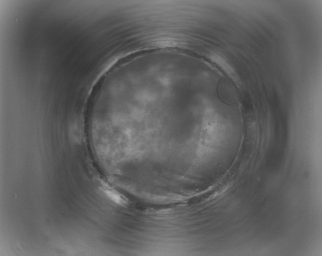 X0000069811023200605221159