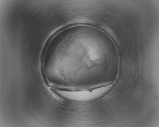 X0000069811024200605221159