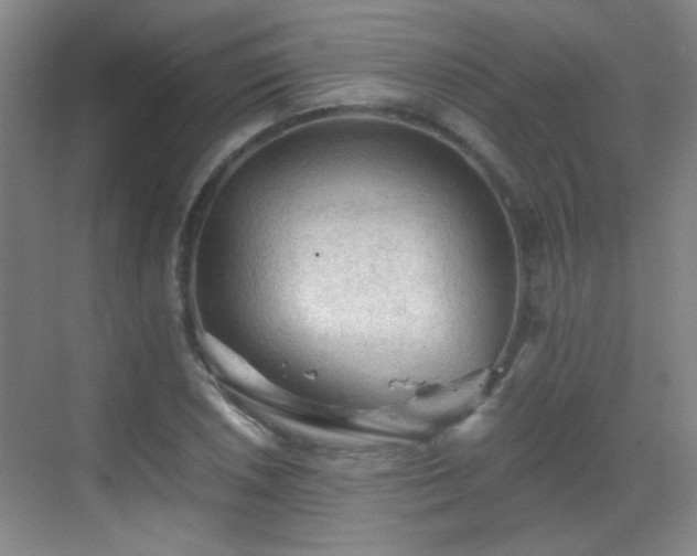 X0000069811026200605221159