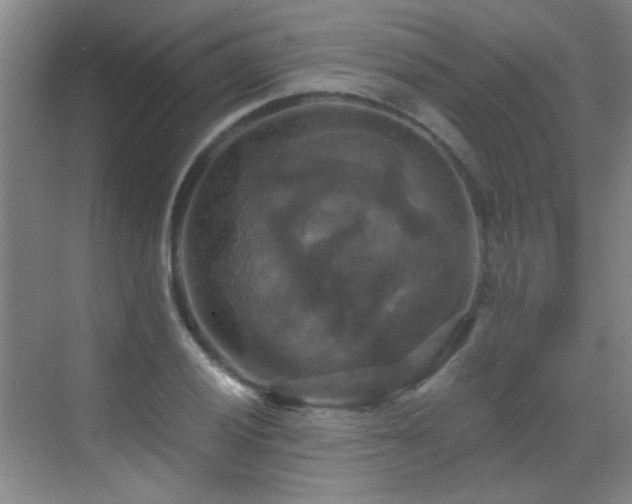 X0000069811028200605221159