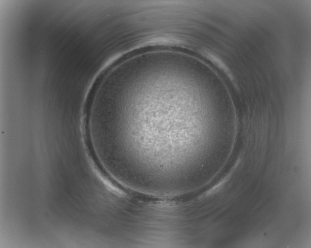 X0000069811029200605221159