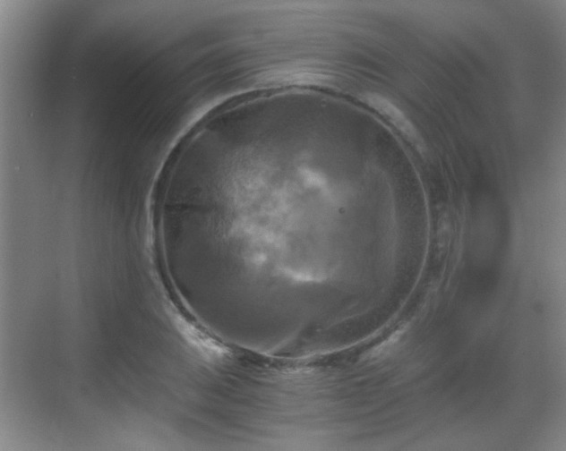 X0000069811031200605221159