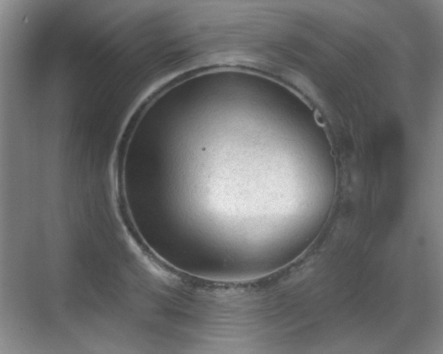 X0000069811032200605221159