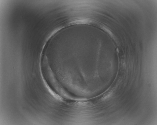 X0000069811034200605221159