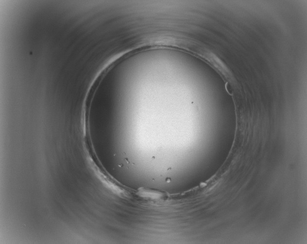 X0000069811036200605221159