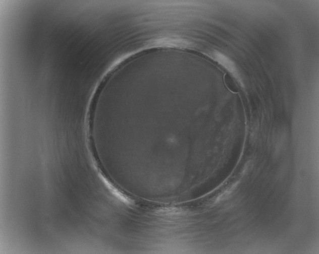 X0000069811037200605221159