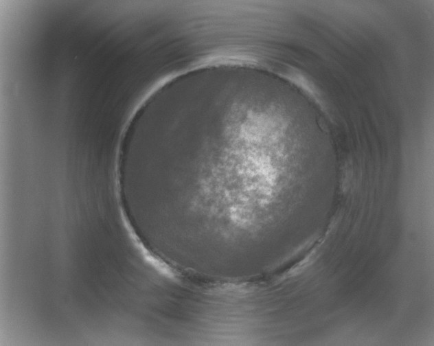 X0000069811038200605221159