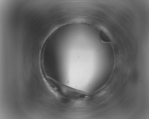 X0000069811039200605221159