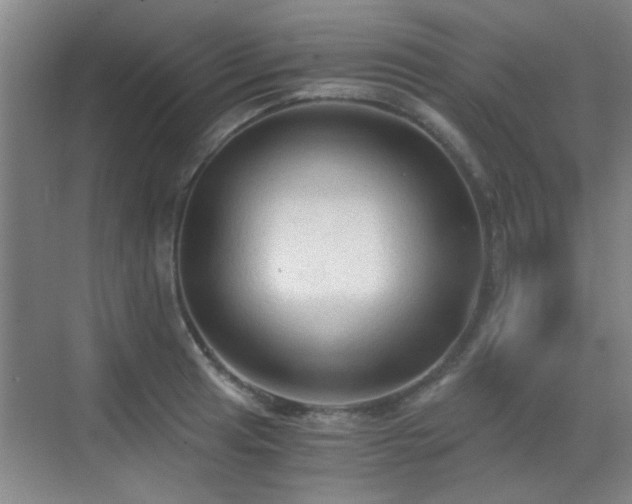 X0000069811041200605221159