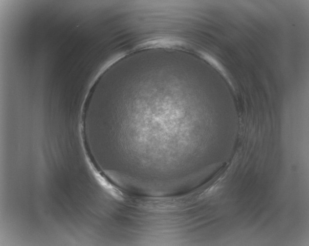 X0000069811042200605221159