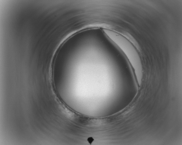 X0000069811044200605221159