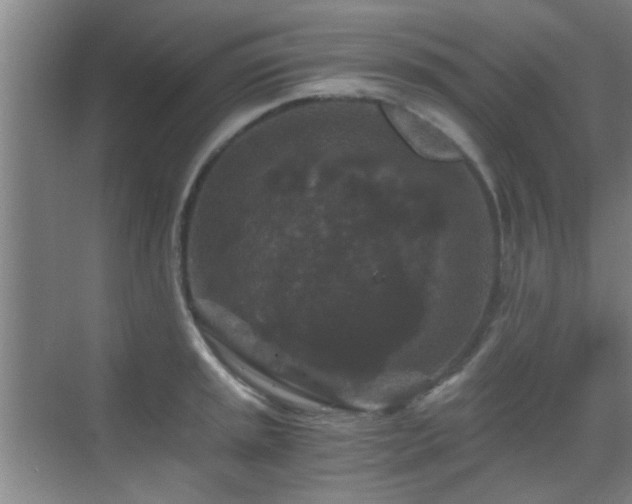 X0000069811045200605221159