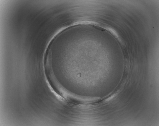 X0000069811046200605221159