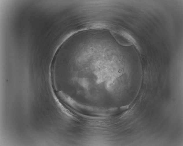 X0000069811047200605221159