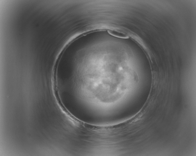 X0000069811048200605221159